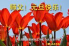 法轮功,成都大法弟子恭祝师尊新年好(18条)