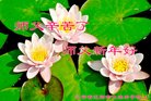 ֹ,󷨵ӹףʦ(18)