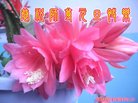 ֹ,󷨵ӹףʦ(23)