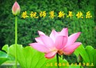 ֹ,Ϋ󷨵ӹףʦ(24)