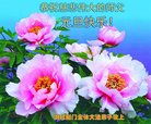 ֹ,󷨵ӹףʦ(21)