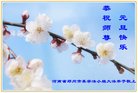 法轮功,郑州大法弟子恭祝师尊新年好(26条)