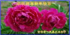 ֹ,д󷨵ӹףʦ(20)