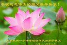 ֹ,ൺ󷨵ӹףʦ(26)