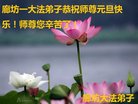 法轮功,廊坊大法弟子恭祝师尊新年好(19条)