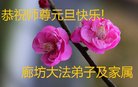 ֹ,ȷ󷨵ӹףʦ(19)