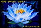 ֹ,󷨵ӹףʦ(24)