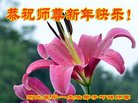 ֹ,ӱ󷨵ӹףʦ(23)