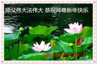 法轮功,陕西大法弟子恭祝师尊新年好(21条)