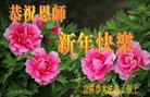 ֹ,д󷨵ӹףʦ(20)