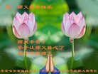 ֹ,󷨵ӹףʦ(21)