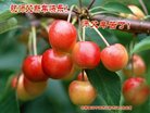 ֹ,ӱ󷨵ӹףʦ(25)