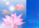 法轮功,葫芦岛大法弟子恭祝师尊新年好(21条)