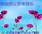 法轮功,陕西大法弟子恭祝师尊新年好(21条)