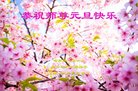 ֹ,󷨵ӹףʦ(23)