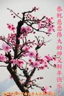 ֹ,ӱ󷨵ӹףʦ(30)