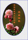 法轮功,河南大法弟子恭祝师尊新年好(21条)