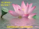 ֹ,մ󷨵ӹףʦ(23)