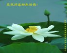 ֹ,żҿڴ󷨵ӹףʦ(23)