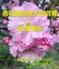 ֹ,ȷ󷨵ӹףʦ(19)