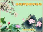 ֹ,󷨵ӹףʦ(24)