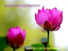 ֹ,󷨵ӹףʦ(23)