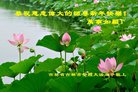 ֹ,д󷨵ӹףʦ(20)