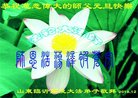 ֹ,ʴ󷨵ӹףʦ(30)