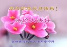ֹ,ʡ󷨵ӹףʦ(23)