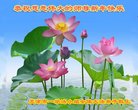 ֹ,󷨵ӹףʦ(24)