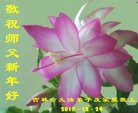 ֹ,д󷨵ӹףʦ(20)