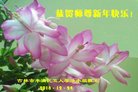 ֹ,д󷨵ӹףʦ(20)