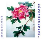 ֹ,ʡ󷨵ӹףʦ(23)