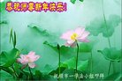 ֹ,󷨵ӹףʦ(21)