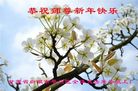 ֹ,󷨵ӹףʦ(24)