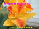 ֹ,󷨵ӹףʦ(23)