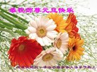 ֹ,󷨵ӹףʦ(22)