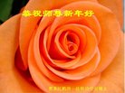 ֹ,󷨵ӹףʦ(22)