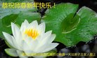 法轮功,哈尔滨大法弟子恭祝师尊新年好(23条)