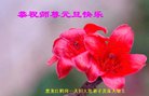 ֹ,󷨵ӹףʦ(22)