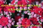 ֹ,Ϻ󷨵ӹףʦ(23)