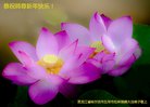 ֹ,󷨵ӹףʦ(23)