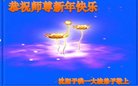法轮功,沈阳大法弟子恭祝师尊新年好(20条)