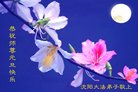 ֹ,󷨵ӹףʦ(20)