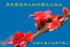 ֹ,ʡ󷨵ӹףʦ(25)