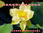 ֹ,ʯׯ󷨵ӹףʦ(25)