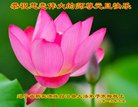 ֹ,󷨵ӹףʦ(21)