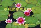 ֹ,ӱ󷨵ӹףʦ(26)