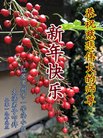 ֹ,մ󷨵ӹףʦ(24)