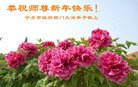 ֹ,ϴ󷨵ӹףʦ(21)